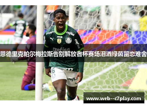 恩德里克帕尔梅拉斯告别解放者杯赛场泪洒绿茵留恋难舍